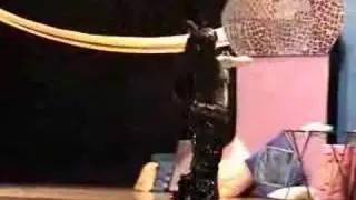 Saahirah Rayvn - Gothic Burlesque Bellydance
