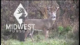 S1:EP1 Big Buck in Bow Range