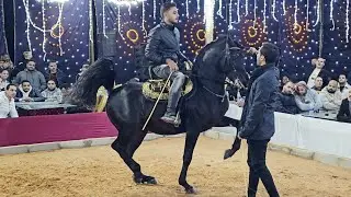 لامبورجيني الحزم و ابراهيم غزال حفلة باريس 2024