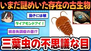 【新しい発見】三葉虫の目は方解石というクリスタルでできていた、古生物学者を魅了する