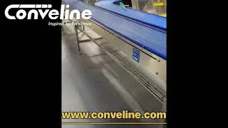 SS304 Modular Conveyor Systems