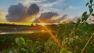 4K video Assam Sunit chutia cinematic just look at this view what a amazing sunset