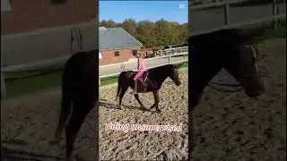 #horseriding #pzb #supervised
