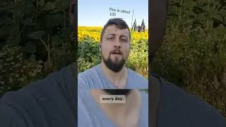 What the hell is a 