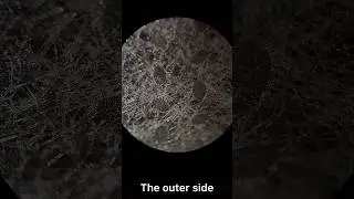 Activated carbon mask under the microscope #shorts
