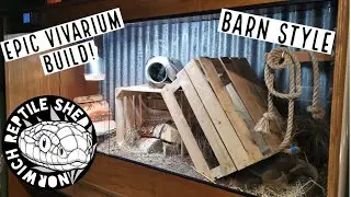 Making A Barn Style Reptile Vivarium!