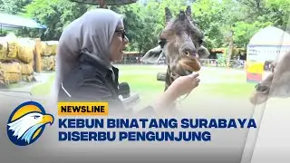 Libur Tahun Baru 2026, Kebun Binatang Surbaya Tak Luput Serbuan Ribuan Wisatawan