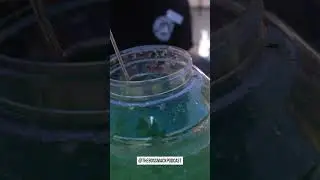 BOSSMACK Drinks an Agua Freska from Backyard BBQ at the Orange County Fair #FoodVlog