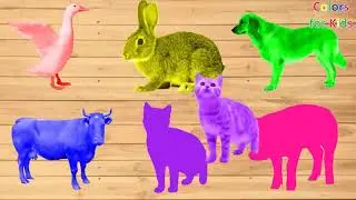 Farm Animals Bathing Colors Fun Learn Colors for Children Kids Toddlers To Learn With Animals