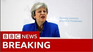 Theresa May: 'One last chance' to get Brexit done- BBC News