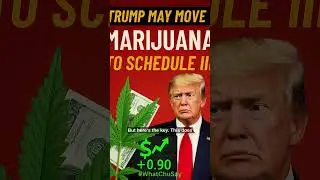 Trump May Move Cannabis to Schedule III 💥 What It Means for America #shorts
