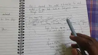 Understanding success by Understanding the model of time loop.