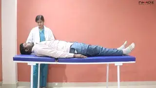 Blue Examination Bed/Table/Couch | Examination couch