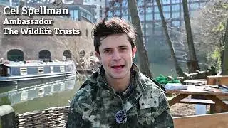 Сел Спеллман о природе по соседству