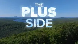 The Plus Side | Horses go caroling, bookfair for Maine authors, gratitude letters