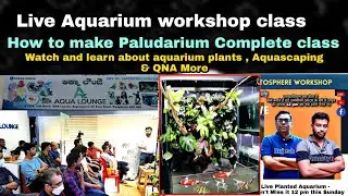 Live Aquarium Class -Paludarium Workshop Class at Aqua lounge Bangalore