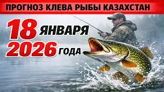 ПРОГНОЗ КЛЁВА в Казахстане на 18 января 2026 Бросай все и на рыбалку!