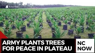 Operation Enduring Peace Launches Tree Planting Drive in Plateau