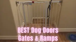 Best Dog Doors, Gates & Ramps You Should Have on Amazon | Safety Baby Gates