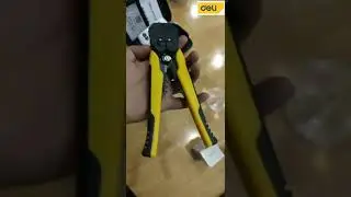 DL2018_H&igrave;nh ảnh thực tế