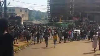 Kormee Bayisaa