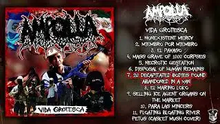 Ampolla - Vida Grotesca CD FULL EP (2025 - Goregrind / Mincecore)