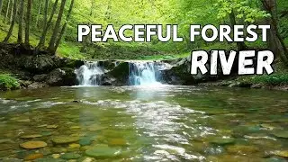 Relaxing River Sounds - Peaceful Forest River - 3 Hours Long - HD 1080p - Nature Video