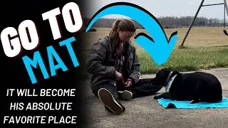 Go To Mat (AKA The Hot Zone)- The Dog Training Crash Course