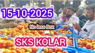 15-10-2025 Kolar Tomato market Rates/kolar tomato rate #టమాట #today #kolartomatomarketratetoday 