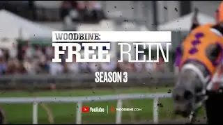 Free Rein Season 3 IS COMING SOON #horse #horseracing #documentary #cuteanimals #equestrianjourney