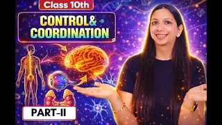 Control & Coordination | Class 10 Biology | Complete Chapter in One Shot | NCERT Covered | PART-II