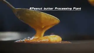 Peanut butter production line 1000kg/h | how to product peanut butter in factory