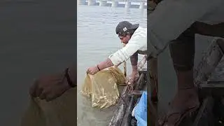 how much fishing village in india monster fish 🐬