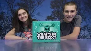 What's In The Box? Little Live Wraptiles by Moose Toys!