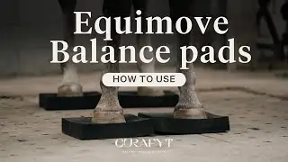 How to use the Equimove Balance Pads | Curafyt