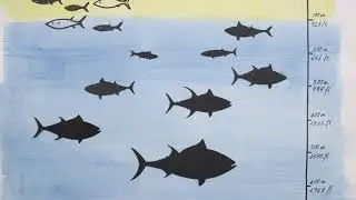 Diving with tuna: heading down deep