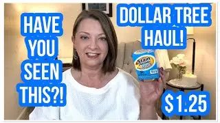 DOLLAR TREE HAUL | Have You Seen This? | $1.25 | NEW | I LOVE THE DT😁 #haul #dollartree