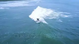 Surf in Paradise