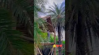 Keetham lake Agra full tour | keethm Jheel Agra | best place to visit in Agra | कीठम झील आगरा #agra​