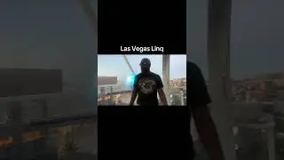 Las Vegas LINQ 25