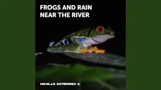 Soft Rain in the Amazonas