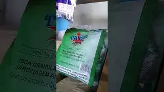 30 de dezembro de 2024
