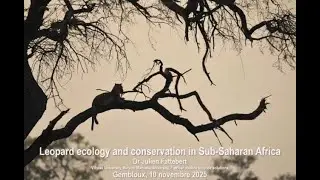 Julien Fattebert - Leopard ecology and conservation in Sub-Saharan Africa - 10/11/2025