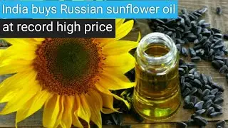 India buys Russian sunflower oil at record high price | Smart Shiksha Academy