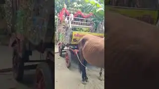 #viralvideo #harsh #dance #music #nature #viyabaramulagam #viralvideo
