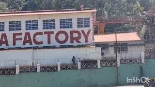 Tea factory , chocolate factory views point and zip line
