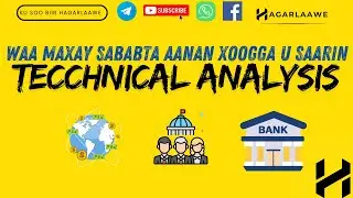 SABABTA SUUQA SOOMAALIDU UGU FASHILANTO WAA MAXAY? MY IDEA