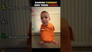Ranking best bird trend videos 😂