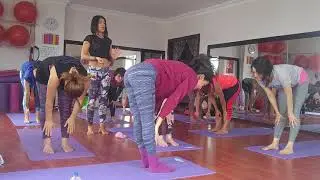 Temel Ders Yoga Uzmanlık Programı