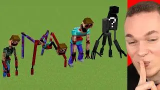 Alle MIMICER ENTWICKLUNGEN in Minecraft!